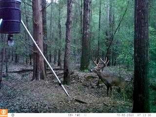 Farm and Ranch in Terrell County, Georgia