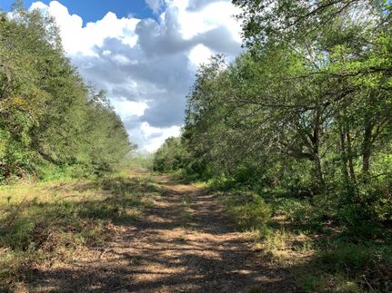Undeveloped Land in Baldwin County, Alabama