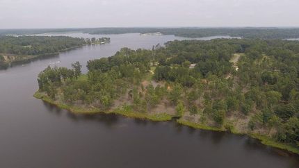 Timberland Property in Carroll County, Tennessee