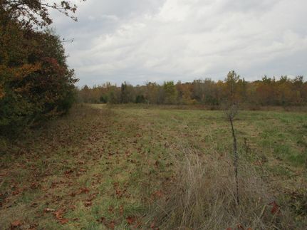Undeveloped Land in Howell County, Missouri