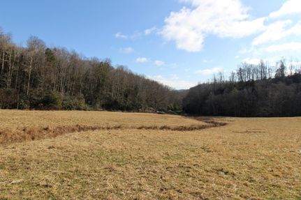 Timberland Property in Ashe County, North Carolina