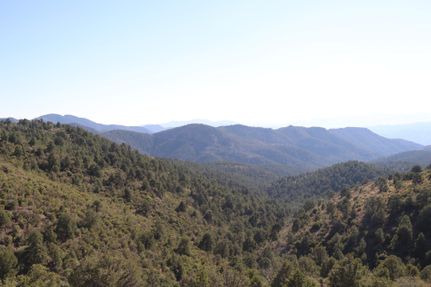 Land in Greenlee County, Arizona