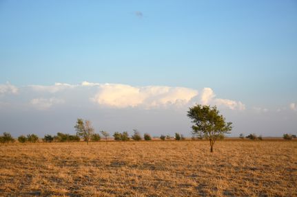 Farm and Ranch in Hale County, Texas