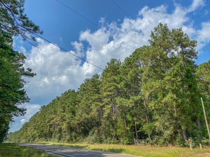 Timberland Property in San Jacinto County, Texas