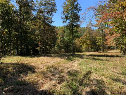 Timberland Property in Polk County, Georgia
