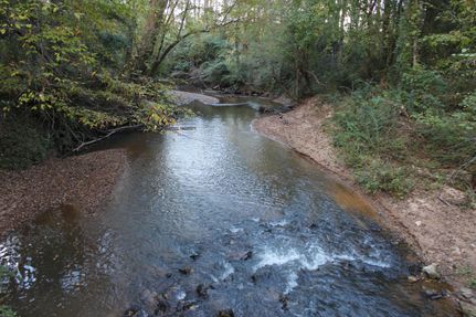 Hunting Property in Lee County, Alabama
