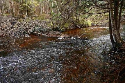 Recreational Property in Marquette County, Michigan