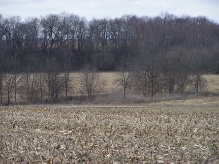 Land in Stark County, Illinois