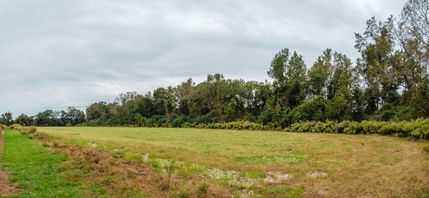 Recreational Property in Tattnall County, Georgia