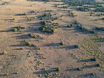 Undeveloped Land in Cibola County, New Mexico