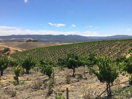 Farm and Ranch in San Luis Obispo County, California