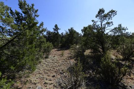 Hunting Property in Yavapai County, Arizona