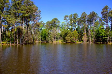 Commercial Property in Marshall County, Mississippi