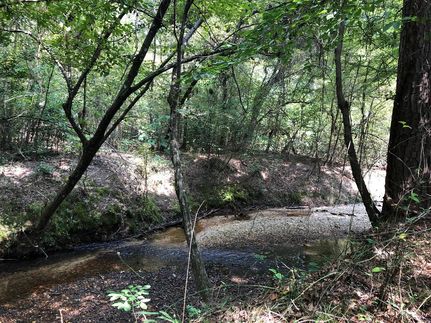 Land in Dallas County, Arkansas