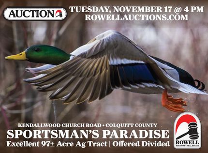 Undeveloped Land in Colquitt County, Georgia