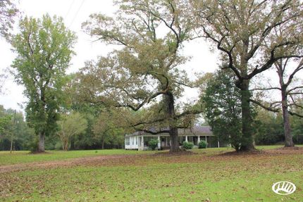Timberland Property in Amite County, Mississippi