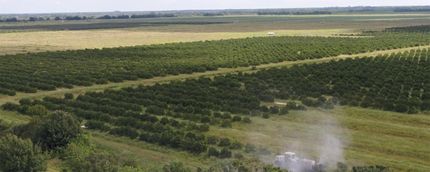 Undeveloped Land in Indian River County, Florida