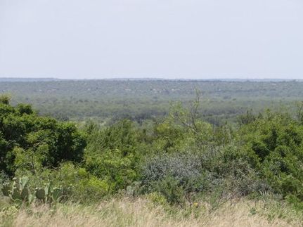 Undeveloped Land in Concho County, Texas