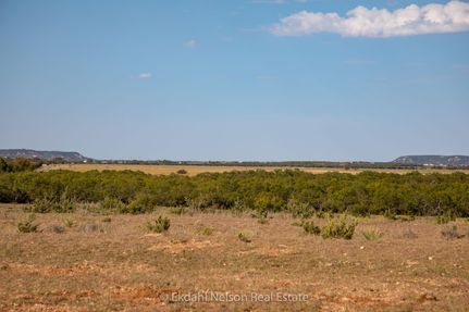 Timberland Property in Taylor County, Texas