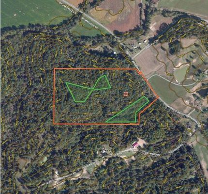 Timberland Property in Alexander County, Illinois