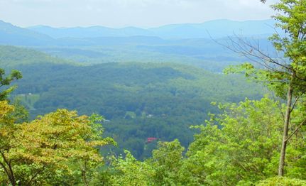 Recreational Property for sale in Fannin County, Georgia