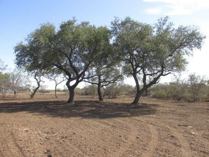 Recreational Property in Medina County, Texas