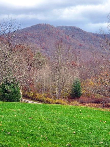Timberland Property in Pocahontas County, West Virginia