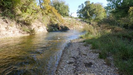 Farm and Ranch in Williamson County, Texas