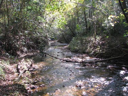 Farm and Ranch in Covington County, Alabama
