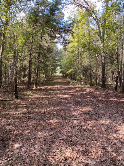 Undeveloped Land in Rusk County, Texas