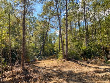 Undeveloped Land in Liberty County, Texas