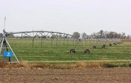 Undeveloped Land in Goshen County, Wyoming