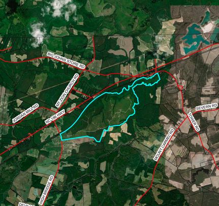 Undeveloped Land in Northampton County, North Carolina