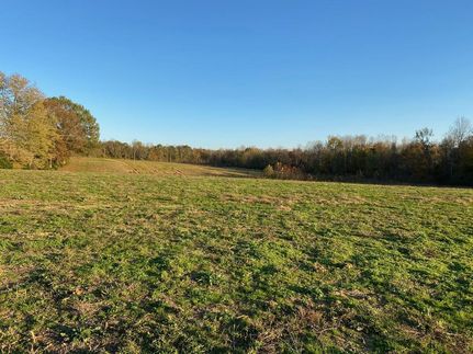 Hunting Property in Green County, Kentucky
