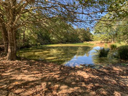 Recreational Property in Leon County, Texas