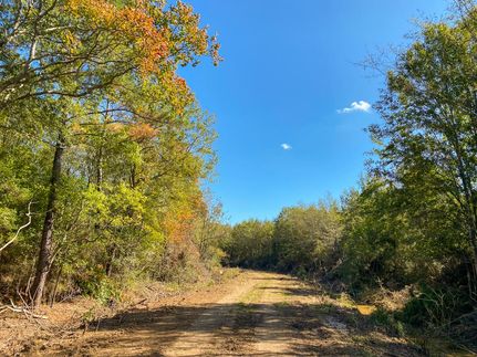 Recreational Property in Liberty County, Texas
