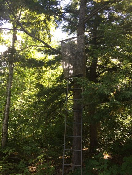Undeveloped Land in Houghton County, Michigan