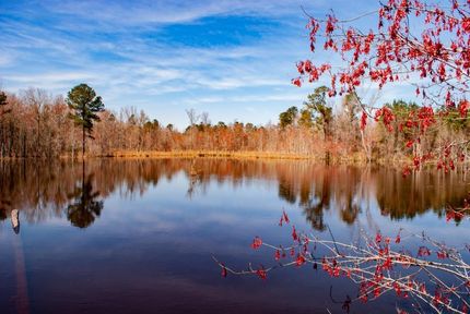 Land in Jenkins County, Georgia