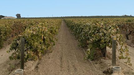 Farm and Ranch in Fresno County, California