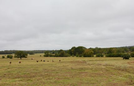 Farm and Ranch in Lee County, Texas