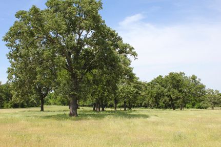 Farm and Ranch in Lee County, Texas
