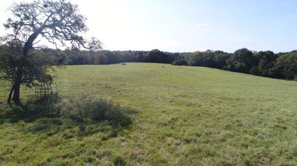 Undeveloped Land in Leon County, Texas