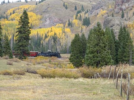 Waterfront Property in Conejos County, Colorado