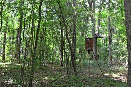 Recreational Property in Marion County, Florida