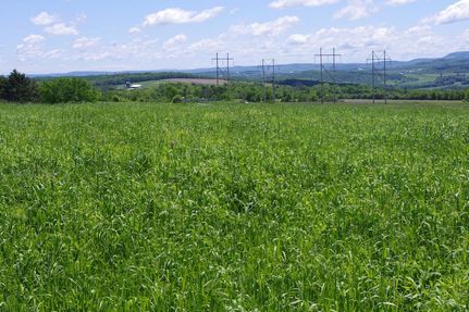 Undeveloped Land in Herkimer County, New York