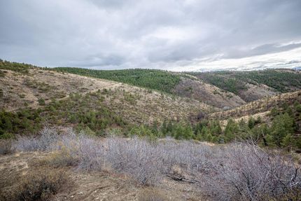 Undeveloped Land in Chelan County, Washington