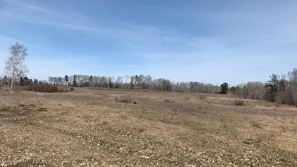 Undeveloped Land in Beltrami County, Minnesota