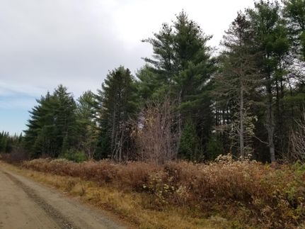 Timberland Property in Penobscot County, Maine