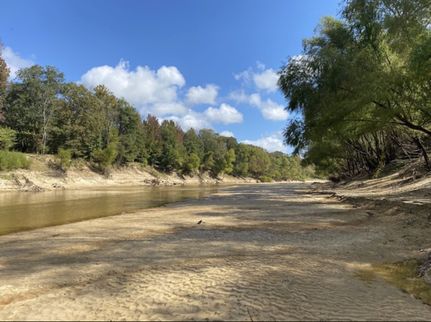 Hunting Property in Claiborne County, Mississippi