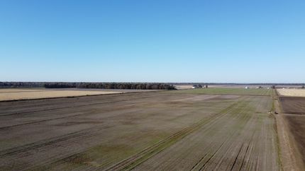 Farm and Ranch in Mississippi County, Arkansas